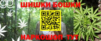 apvp Рузаевка
