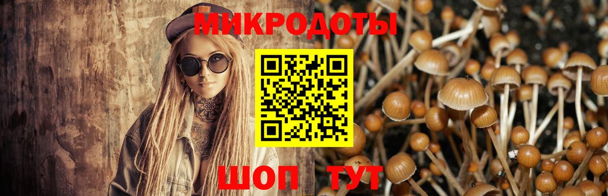 Галлюциногенные грибы Psilocybe  Вход с VPN  Морозовск  Галлюциногенные грибы Psilocybine cubensis 
