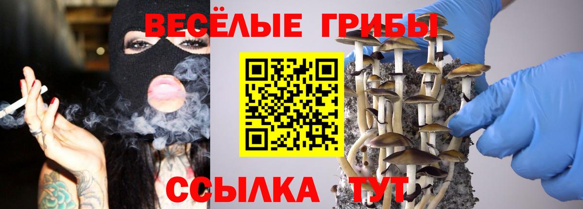 Псилоцибиновые грибы мухоморы Морозовск